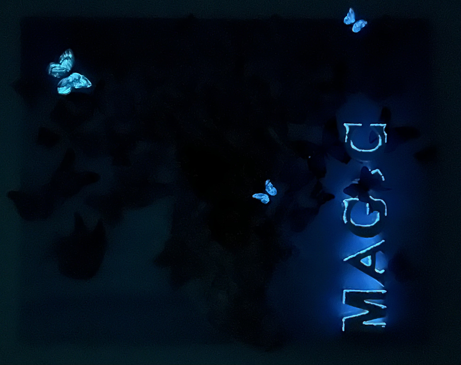 K-NY_Magic moment NIGHT