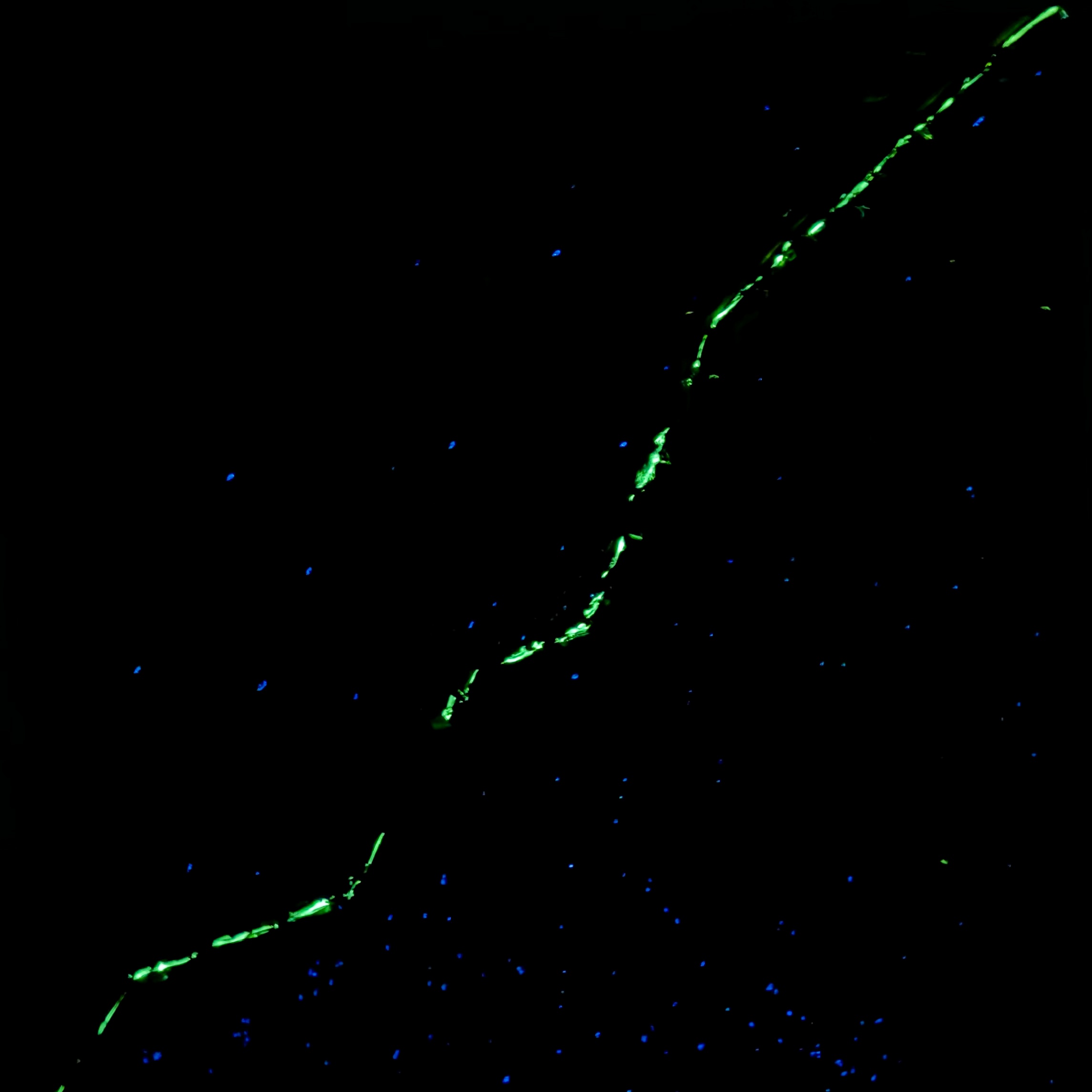 BREAK FREE night K-NY artwork BREAK FREE – photoluminescent acrylic urban luxury art