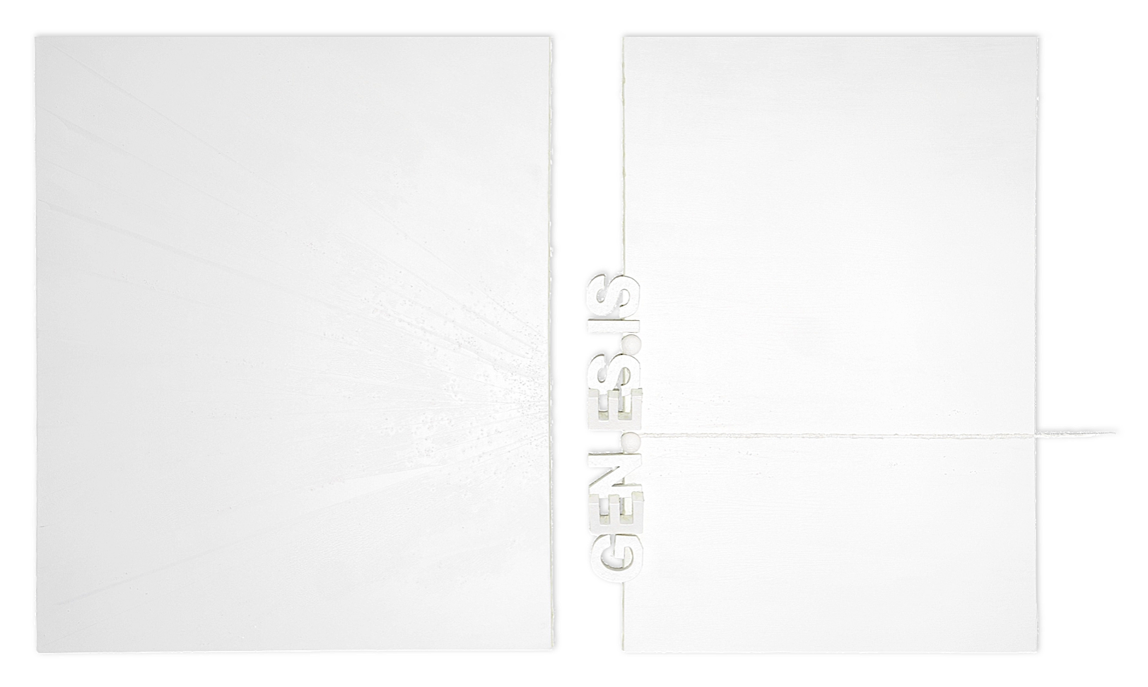 Full daylight view of PAGE ZERO, revealing two ultra-matte white canvases separated by a vertical gap, with concentrated salt texture and horizontal extension line.